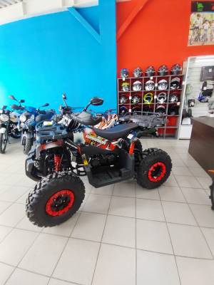 Квадроцикл Zuumav (Зуумав) REPTIL 200 (WARRIOR 200) чёрный (машинокомплект)
