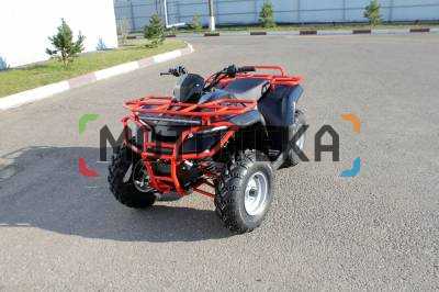 Квадроцикл IRBIS (Ирбис) ATV 250 2023 красный с ПСМ